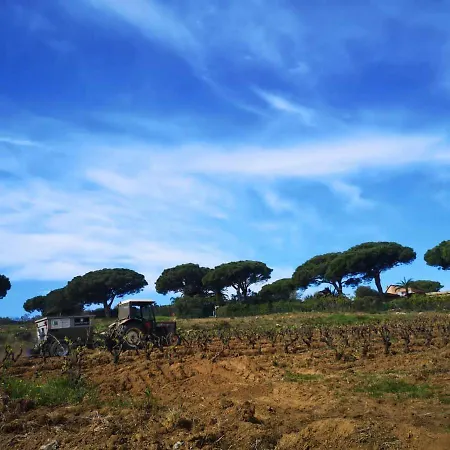Maison Angelvin Saint Tropez
